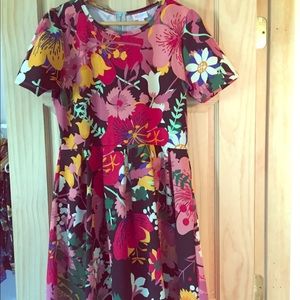 LulaRoe dress with pockets